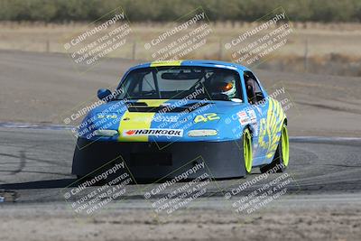 media/Oct-21-2023-Speed Ventures (Sat) [[ddf75163c5]]/Green/Grapvine/